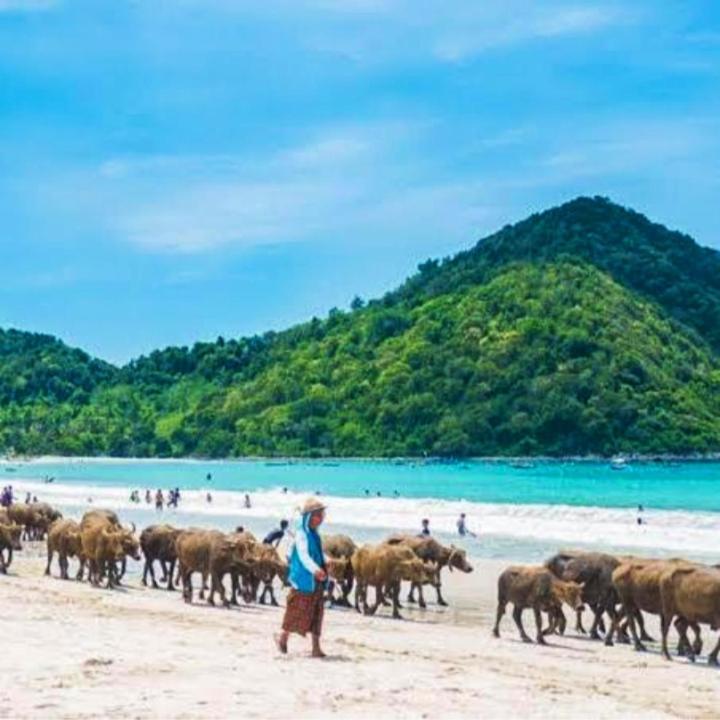 Sakila Homestay Kuta  Buitenkant foto