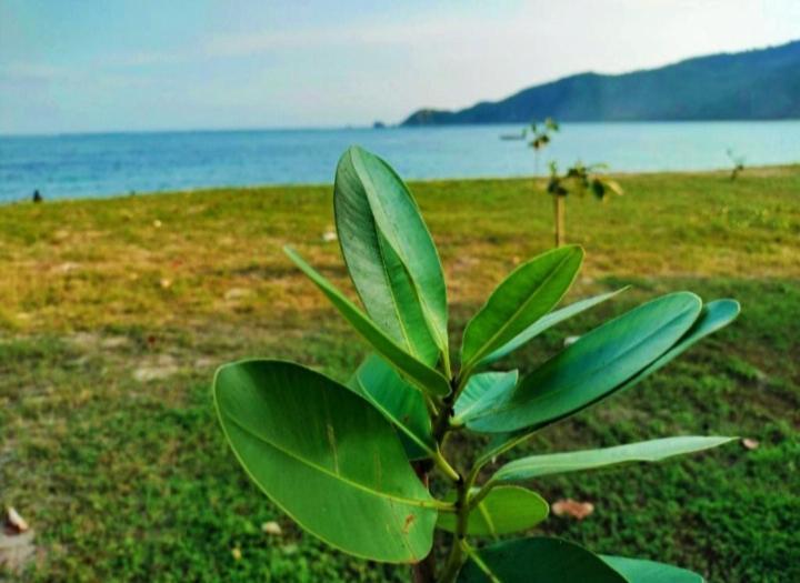 Sakila Homestay Kuta  Buitenkant foto